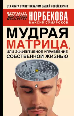 Мудрая матрица, или Эффективное управление собственной жизнью, аудиокнига Максима Сумарокова. ISDN4996329