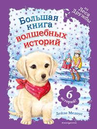 Большая книга волшебных историй из Леса Дружбы, аудиокнига Дейзи Медоус. ISDN50207628