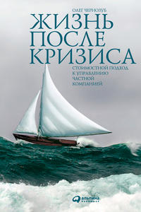 Жизнь после кризиса. Стоимостной подход к управлению частной компанией - Олег Чернозуб