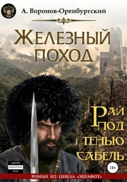 Железный поход. Том второй. Рай под тенью сабель - Андрей Воронов-Оренбургский