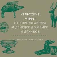 Кельтские мифы, audiobook Миранды Олдхаус-Грин. ISDN51082991
