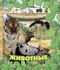Животные - Александра Струк