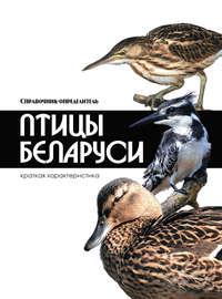 Птицы Беларуси - Владимир Адамчик