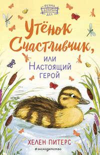 Утёнок Счастливчик, или Настоящий герой, аудиокнига Хелен Питерс. ISDN51387439