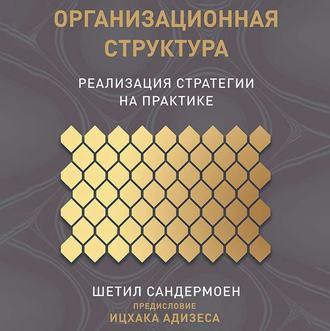 Организационная структура, książka audio Шетила Сандермоен. ISDN51423983