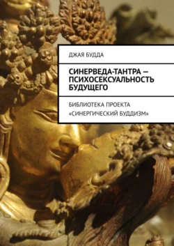 Синерведа-тантра – психосексуальность будущего. Библиотека проекта «Синергический буддизм», аудиокнига Джей Будды. ISDN51558334