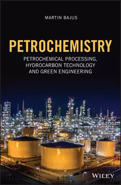 Petrochemistry - Martin Bajus