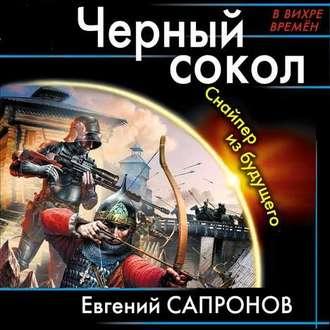 Черный сокол. Снайпер из будущего, audiobook Евгения Сапронова. ISDN51650528