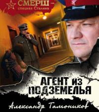 Агент из подземелья, аудиокнига Александра Тамоникова. ISDN51784454