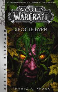World of Warcraft. Ярость Бури, аудиокнига Ричарда А. Кнаака. ISDN54093827