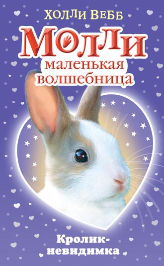 Кролик-невидимка, audiobook Холли Вебб. ISDN54853050