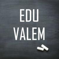 Edu Valem. Allan Kool – kinnisvarakuningas, kes järgmist kriisi veel ei näe, Siim Semiskar аудиокнига. ISDN55546226