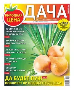 Дача Pressa.ru 12-2020 - Редакция газеты Дача Pressa.ru