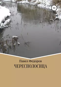 Чересполосица, audiobook Павла Борисовича Федорова. ISDN56058908