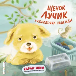 Щенок Лучик и коробочка надежды - Ай Веньэр