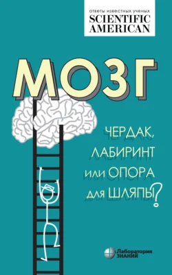 Мозг. Чердак, лабиринт или опора для шляпы? - Сборник