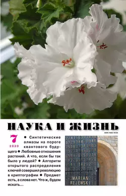 Наука и Жизнь 07-2020 - Редакция журнала Наука и Жизнь