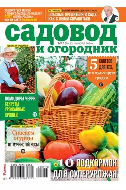 Садовод и Огородник 13-2020 - Редакция журнала Садовод и Огородник