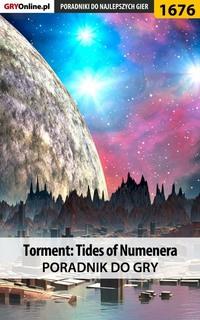Torment: Tides of Numenera - Grzegorz Misztal