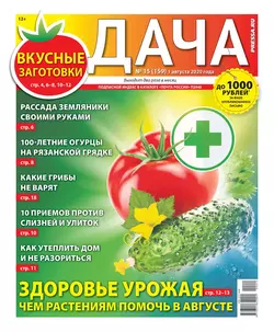 Дача Pressa.ru 15-2020 - Редакция газеты Дача Pressa.ru