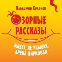 Озорные рассказы, audiobook Владимира Кулакова. ISDN57329516