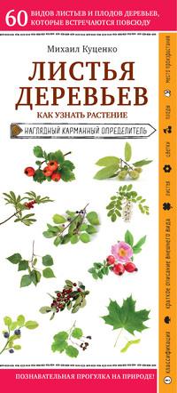 Листья деревьев. Как узнать растение, audiobook Михаила Куценко. ISDN57365161