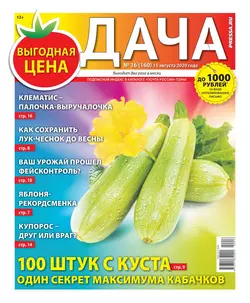 Дача Pressa.ru 16-2020 - Редакция газеты Дача Pressa.ru