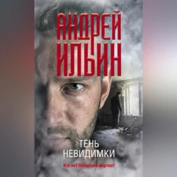 Тень невидимки - Андрей Ильин