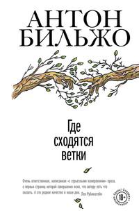 Где сходятся ветки - Антон Бильжо