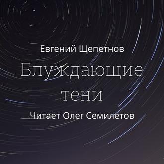 Блуждающие тени, аудиокнига Евгения Щепетнова. ISDN57881363