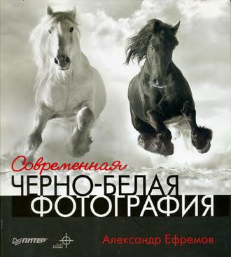 Современная черно-белая фотография, Hörbuch Александра Ефремова. ISDN5806824