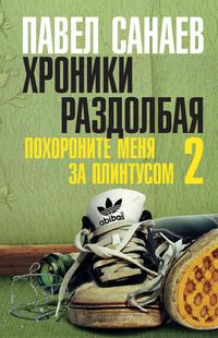 Хроники Раздолбая, audiobook Павла Санаева. ISDN5810918