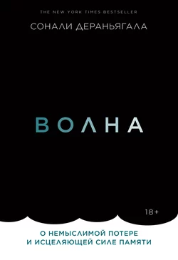 Волна. О немыслимой потере и исцеляющей силе памяти, audiobook Соналей Дераньягала. ISDN58114899