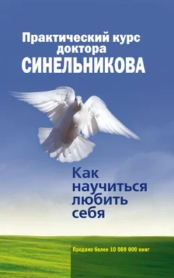 Практический курс доктора Синельникова. Как научиться любить себя - Валерий Синельников