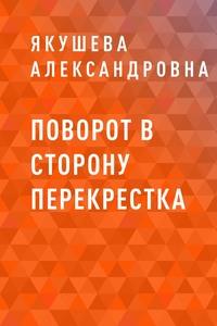 Поворот в сторону перекрестка - Екатерина Якушева