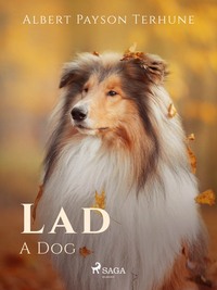 Lad: A Dog - Albert Terhune