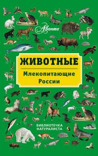 Животные. Млекопитающие России, książka audio В. Г. Бабенко. ISDN6147548