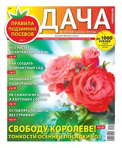 Дача Pressa.ru 19-2020 - Редакция газеты Дача Pressa.ru