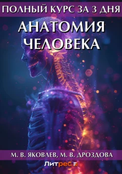 Полный курс за 3 дня. Анатомия человека, аудиокнига М. В. Яковлева. ISDN6184236