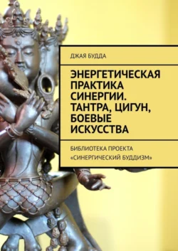 Энергетическая практика синергии. Тантра, цигун, боевые искусства. Библиотека проекта «Синергический буддизм», audiobook Джей Будды. ISDN61931123