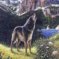 Волк, аудиокнига Льва Толстого. ISDN621565