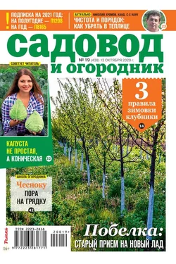 Садовод и Огородник 19-2020 - Редакция журнала Садовод и Огородник