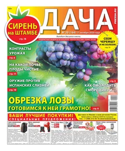 Дача Pressa.ru 20-2020 - Редакция газеты Дача Pressa.ru