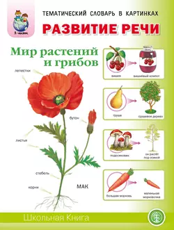 Развитие речи «Мир растений и грибов»: Фрукты. Овощи. Ягоды. Грибы. Цветы. Деревья - Сборник