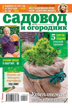 Садовод и Огородник 20-2020 - Редакция журнала Садовод и Огородник