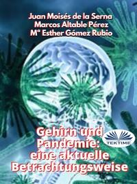 Gehirn Und Pandemie: Eine Aktuelle Betrachtungsweise,  Hörbuch. ISDN63011848