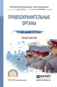 Правоохранительные органы. Практикум. Учебное пособие для СПО - Владимир Бозров