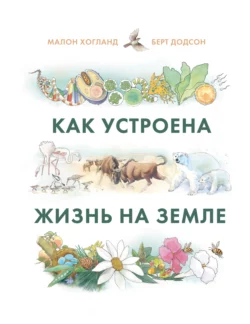Как устроена жизнь на Земле, аудиокнига Берта Додсона. ISDN63407547