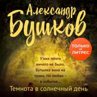 Темнота в солнечный день, audiobook Александра Бушкова. ISDN63440663