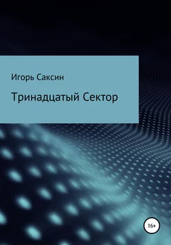 Тринадцатый Сектор, аудиокнига Игоря Саксина. ISDN63507571